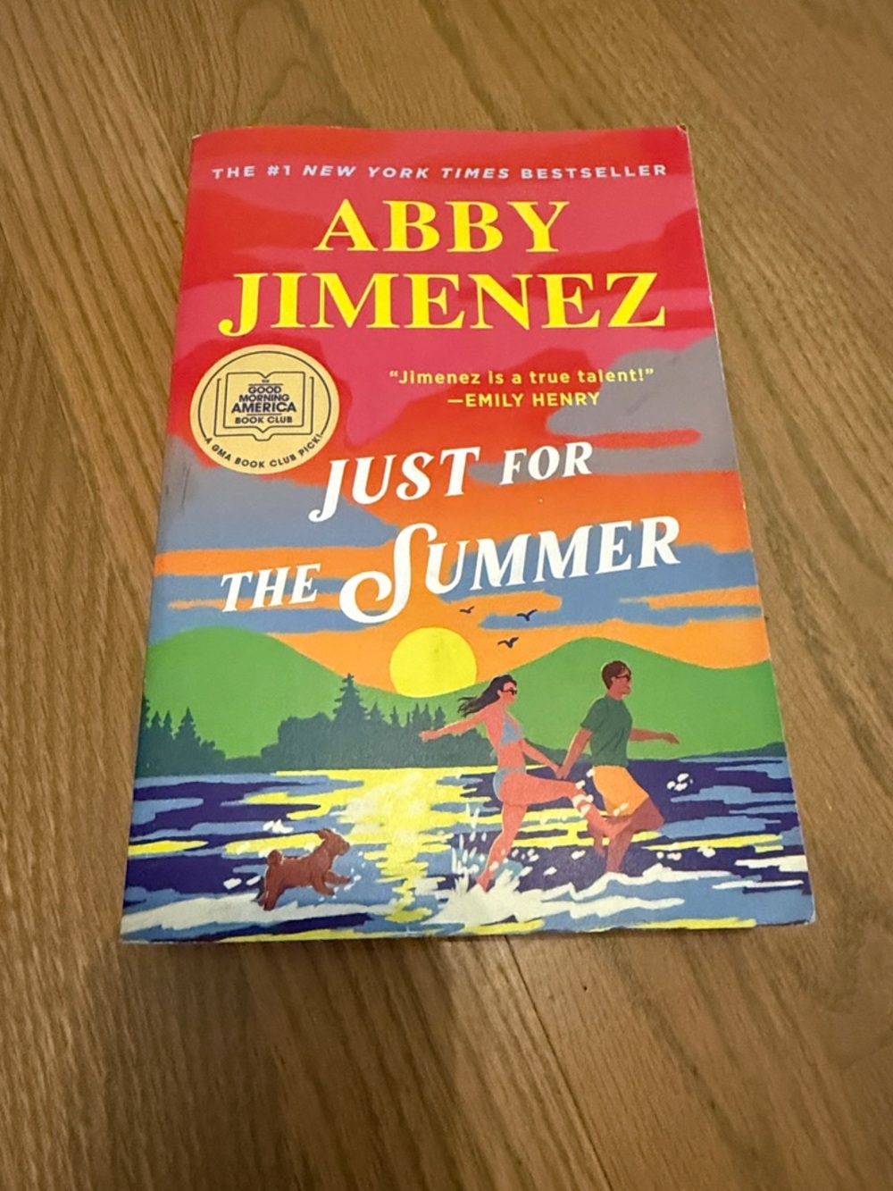 Just for the Summer - book